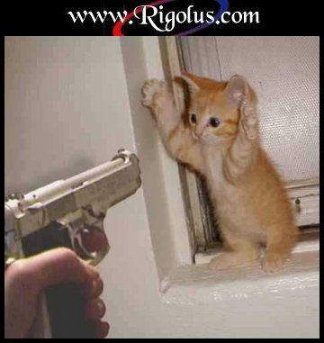 faut rigoler!!!!!