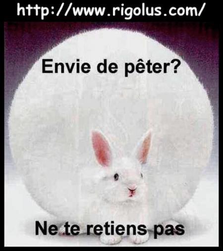 POUR RIRE
