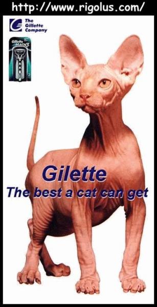 GILETTE(suite 