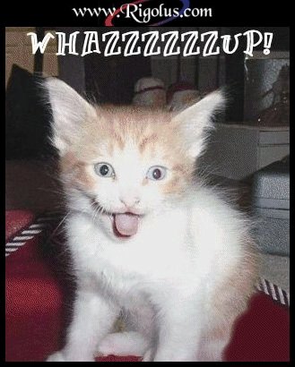 suite pour rire